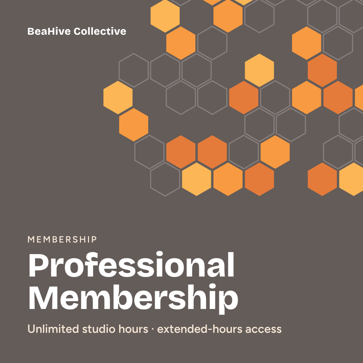 Professional Membership